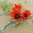 依米花不想说话的个人资料头像