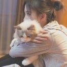 糖醋排骨的个人资料头像