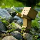 longing50831的个人资料头像