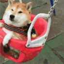 张进君50835的个人资料头像