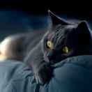 小赵小程序开发落的个人资料头像