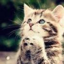 久本尊50936的个人资料头像