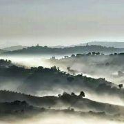 孤獨歡者_的个人资料头像