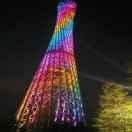 旭日同志50999的个人资料头像