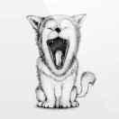 ChenHao的个人资料头像