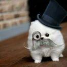 whiskey51043的个人资料头像