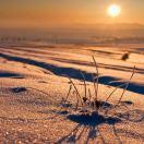 Looper不想说话的个人资料头像