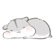 学石油的程序猿的个人资料头像