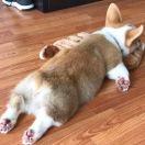 Swh同学的个人资料头像