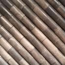 陆敏的个人资料头像