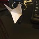 stubbornboy的个人资料头像