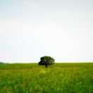 夏树同学的个人资料头像