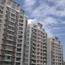 小马奔腾君51178的个人资料头像