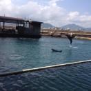 刘晓峰君的个人资料头像