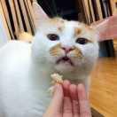 wei不想说话的个人资料头像