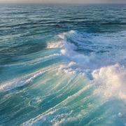 TengTJX的个人资料头像