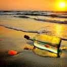 alpha同志51326的个人资料头像