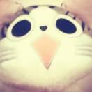 Wayne君51356的个人资料头像