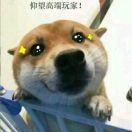 秦时明月本尊51461的个人资料头像