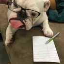 杨钧的个人资料头像