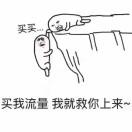 金丝雀的个人资料头像