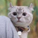 ATOM酱51865的个人资料头像