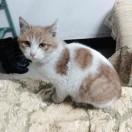 超级牛粪团的个人资料头像