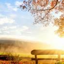 朱清林的个人资料头像