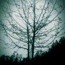 呵呵哈哈哈本尊的个人资料头像