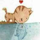 KoTsing的个人资料头像