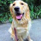 侯行知的个人资料头像