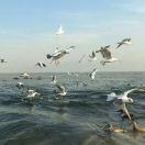 几叶星辰的个人资料头像