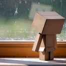 邹浩翔的个人资料头像