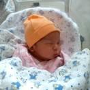 科尔的个人资料头像