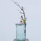 专业犯困的个人资料头像