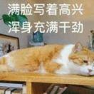 Itsme52330的个人资料头像