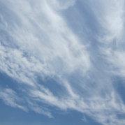 ninobaby的个人资料头像