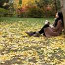 微光爱学习52347的个人资料头像