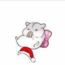 阳本尊52409的个人资料头像