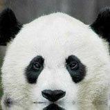 elmar_chen的个人资料头像