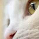 陈捷同学52416的个人资料头像