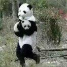 zean52424的个人资料头像