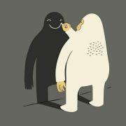 嗷大喵zjc的个人资料头像