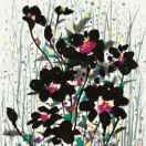 相忘江湖本尊的个人资料头像