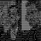 新福的个人资料头像