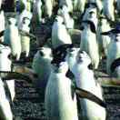 许令的个人资料头像