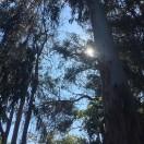 笔记和数据的个人资料头像