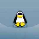 乔帮主君的个人资料头像