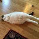 hsbxhejdhdhsbsbdjefvbhbrhdbdhdsg的个人资料头像