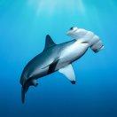 seaside52678的个人资料头像